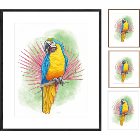 La Grolla Tropical Flair I Frame Wall Art