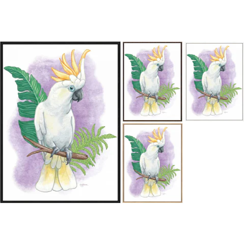 La Grolla Tropical Flair III Gallery Wall Art