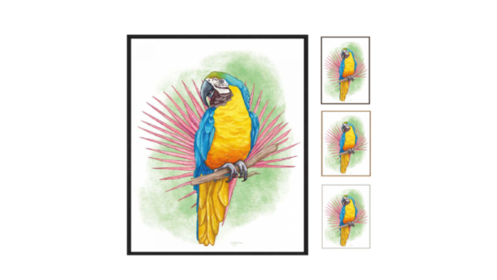 La Grolla Tropical Flair I Gallery Wall Art
