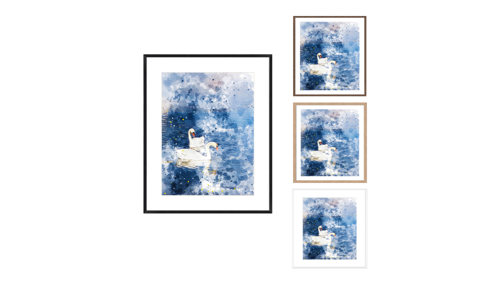 La Grolla Swans II Frame Wall Art