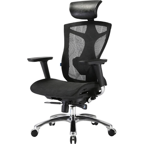 Sihoo V1 Ergonomic Office Chair