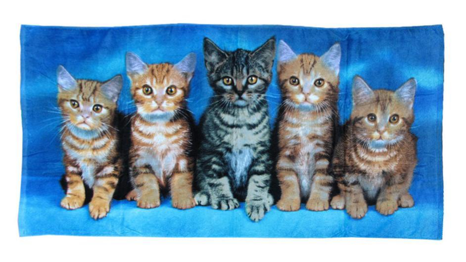 AuraHome Curious Kittens Cotton Beach Towel - 150 x 75cm