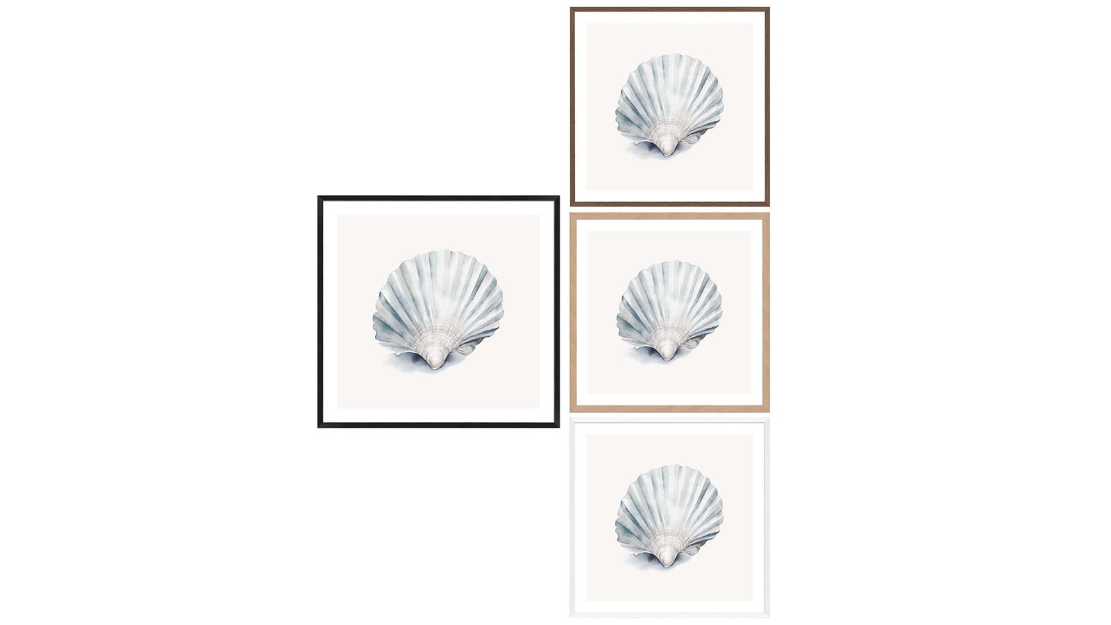 La Grolla Natures Beauty Seashell II Frame Wall Art