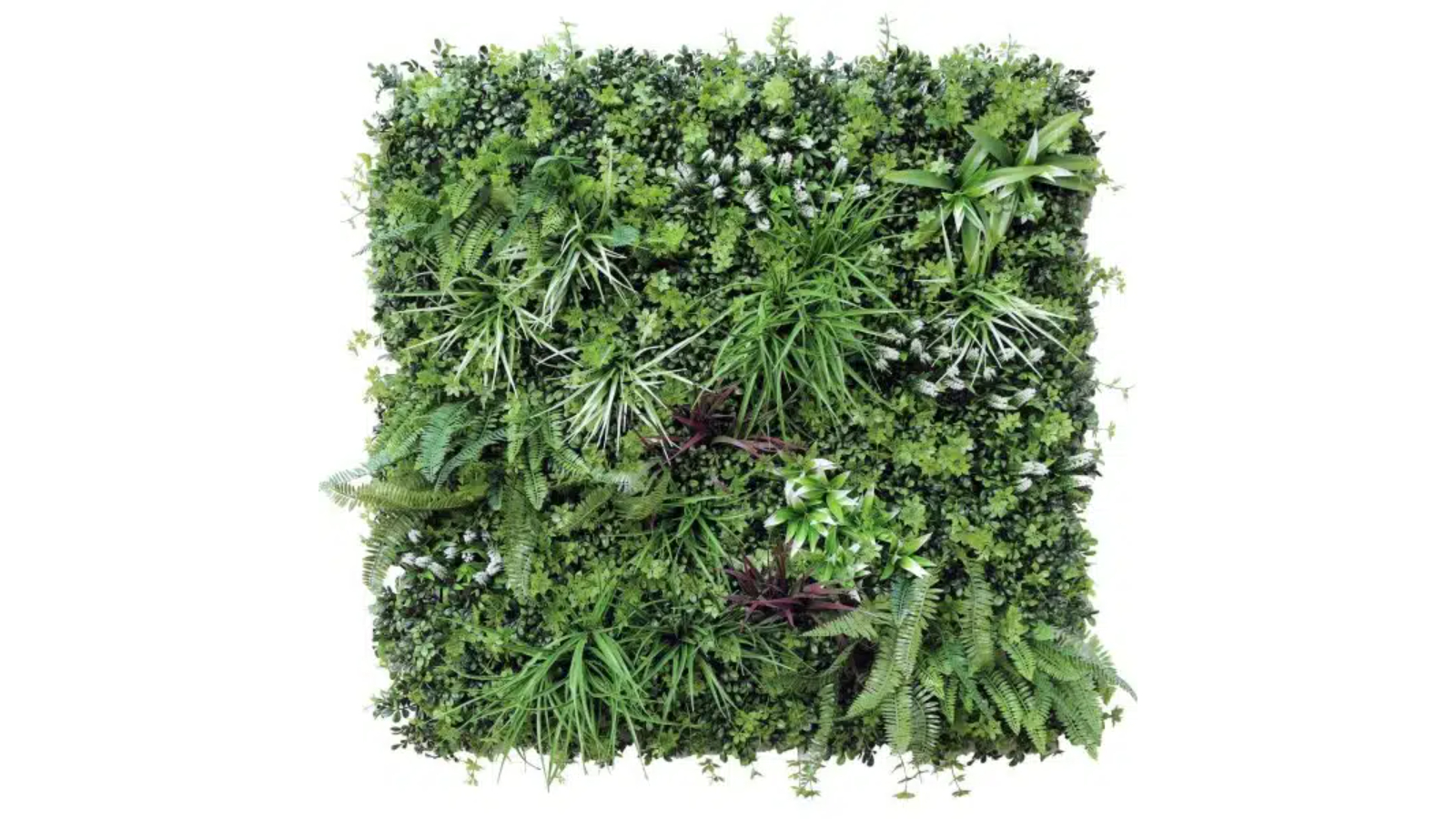 Designer Plants UV Resistant Vista Vertical Garden - 100 x 100cm