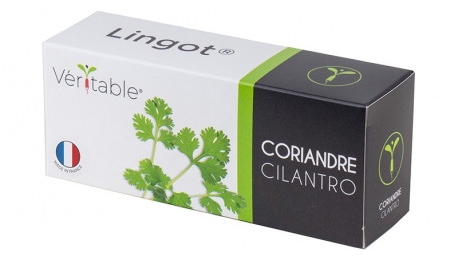 Veritable Coriander Lingot
