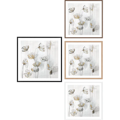 La Grolla Silver Poppies II Frame Wall Art