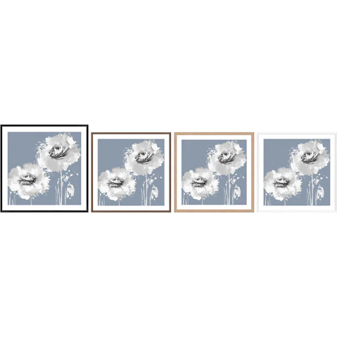 La Grolla Flower Burst on Grey I Frame Wall Art