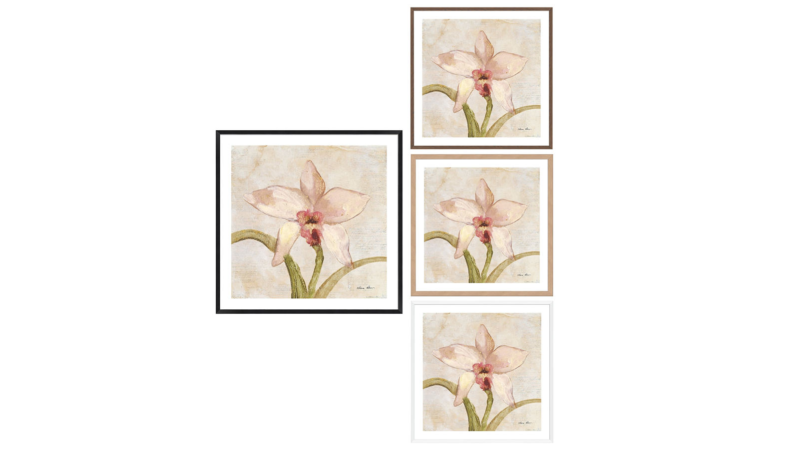 La Grolla Orchid I Frame Wall Art