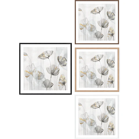 La Grolla Silver Poppies I Frame Wall Art