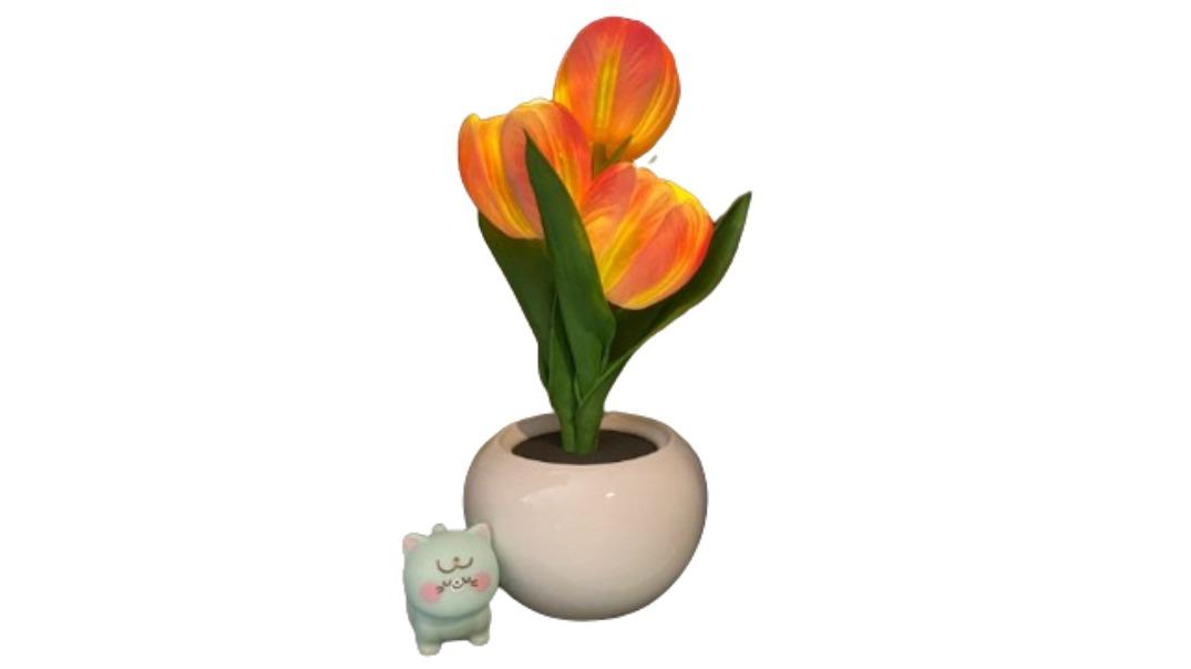 NNEOBA Tulip Table Lamp