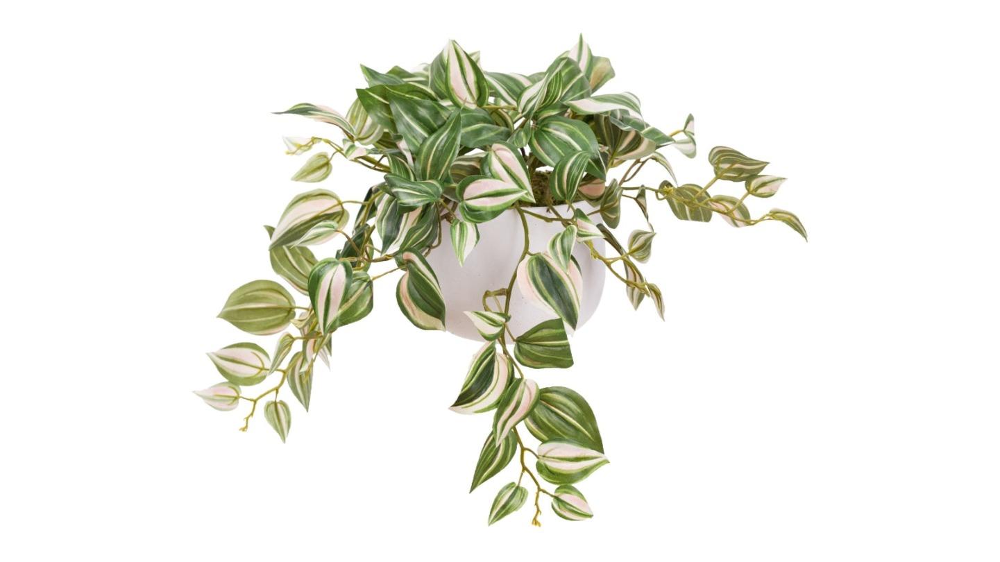 Glamorous Fusion Green Wandering Jew Artificial Plant in Pot - 32cm