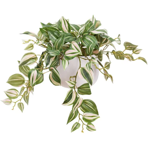 Glamorous Fusion Green Wandering Jew Artificial Plant in Pot - 32cm