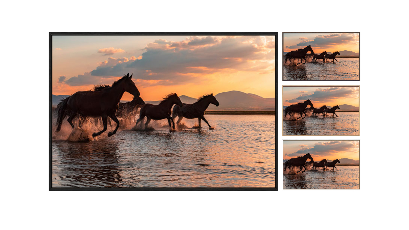La Grolla Water Horses Gallery Wall Art