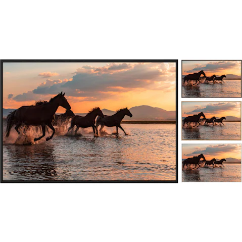 La Grolla Water Horses Gallery Wall Art