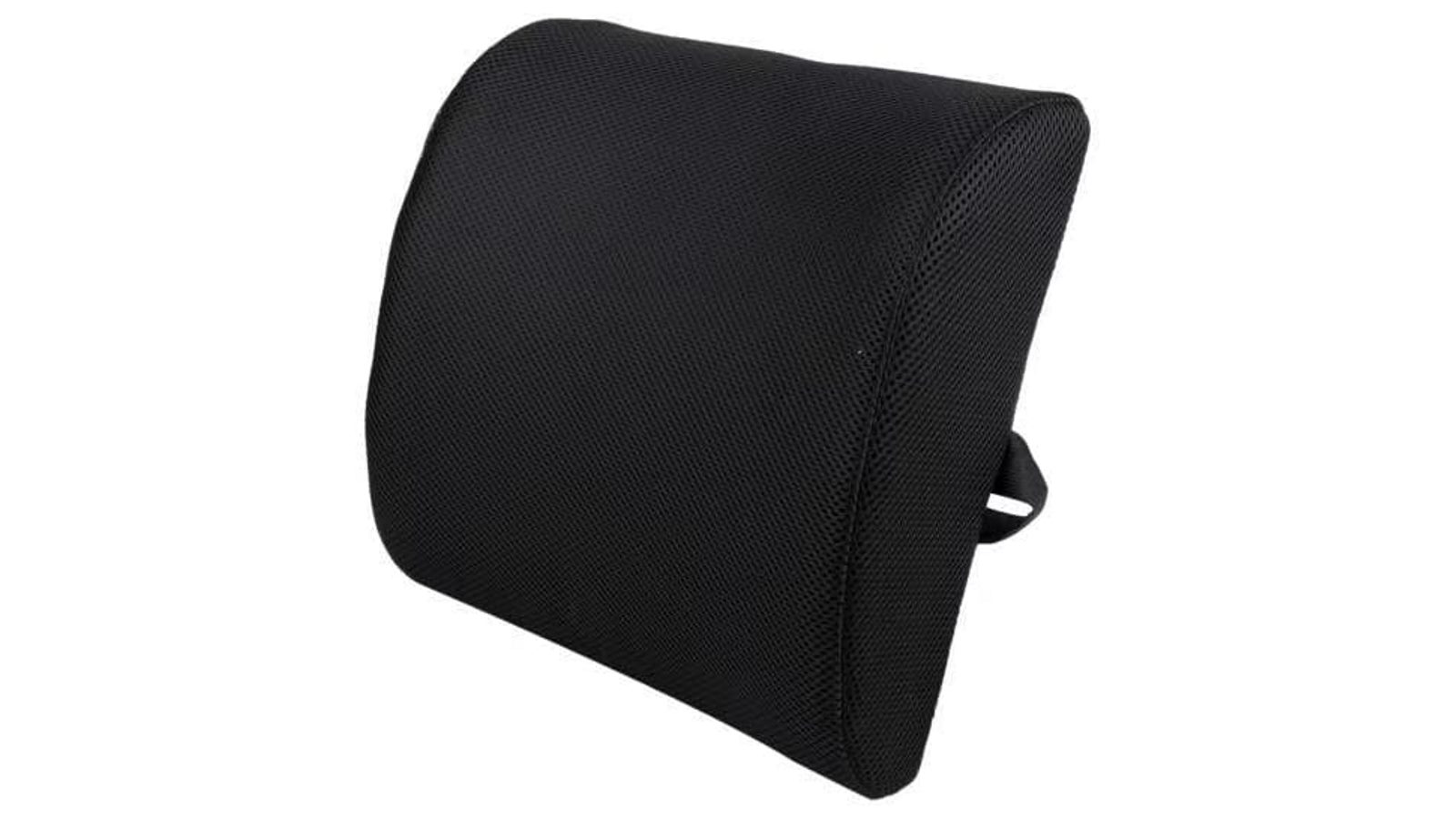 Living Today Memory Foam Back Support Office Car Lumbar Pillow