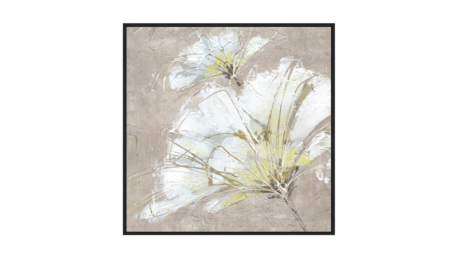 La Grolla White Flowers III Black Gallery Wall Art - 87 x 87cm