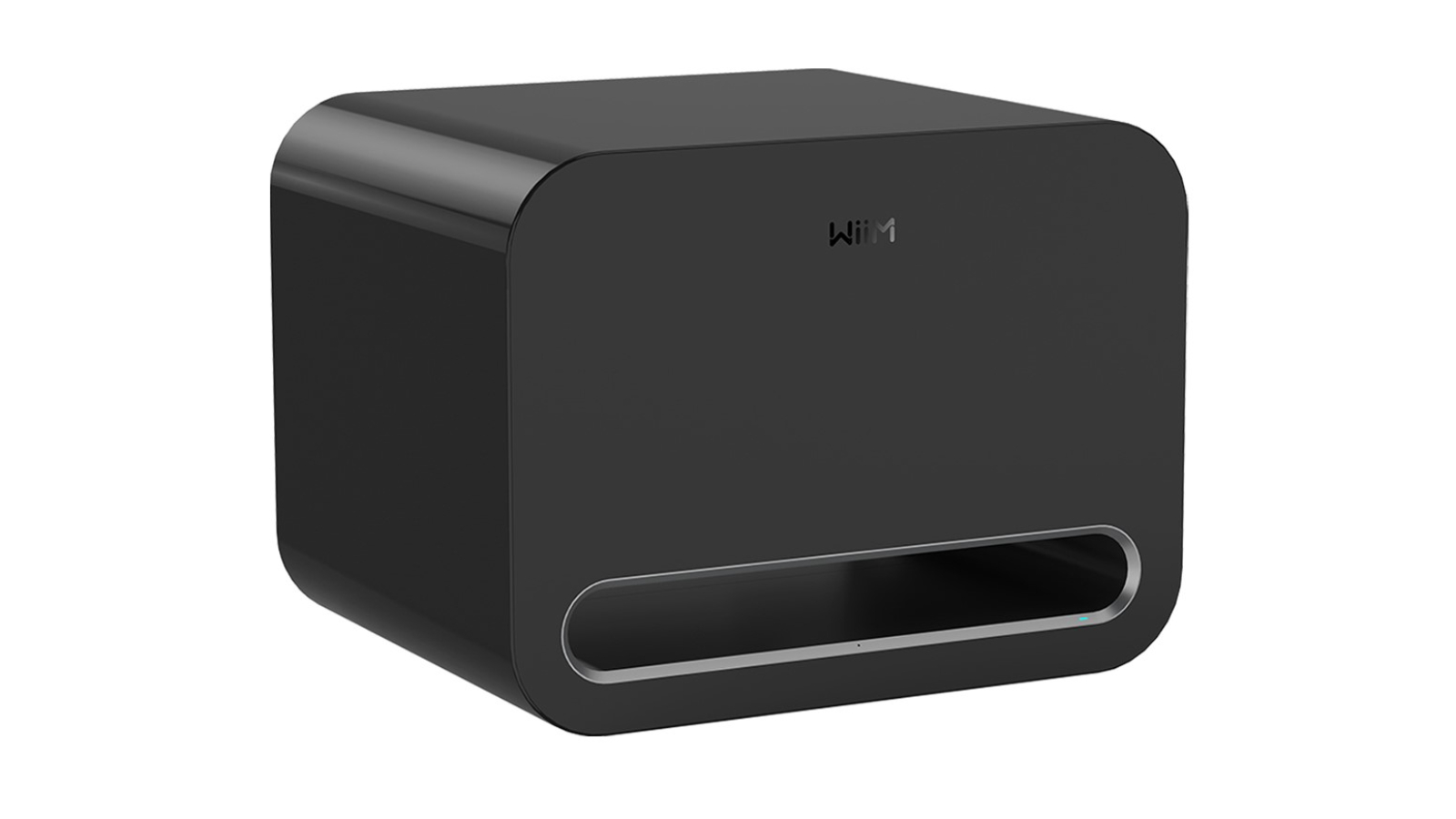 Wiim Sub Pro Wireless Subwoofer