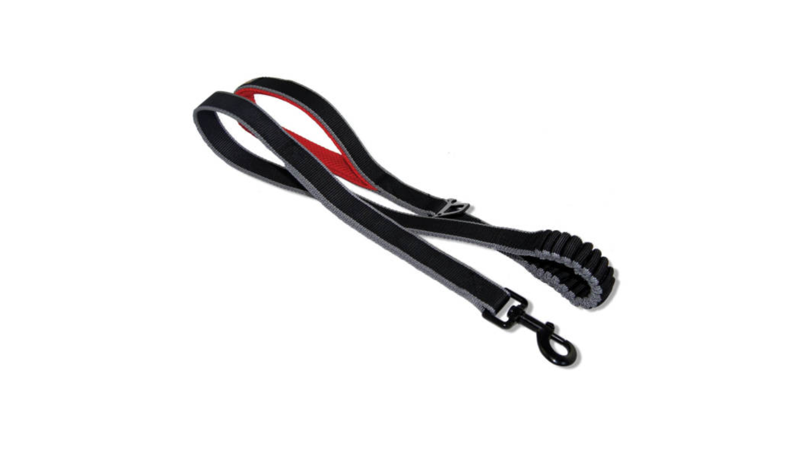 Kurgo Springback Leash