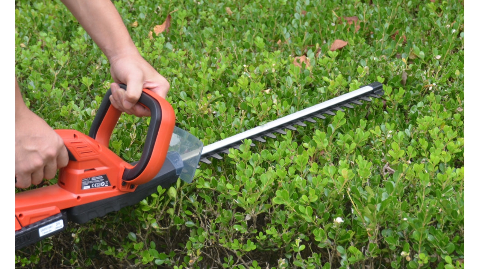 Matrix deals hedge trimmer