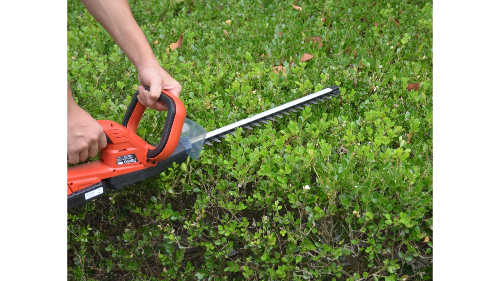 Grass and hedge trimmer online