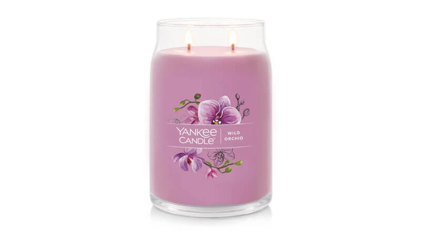 Latest Buys Yankee Candle Signature Large Jar - Wild Orchid