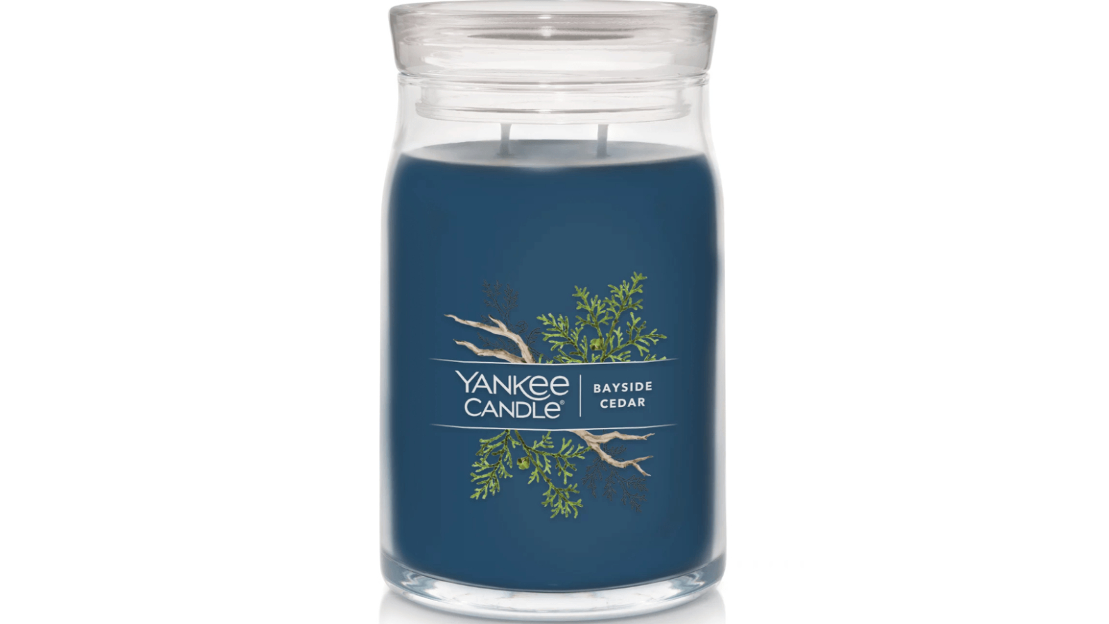 Yankee Candle Large Signature Collection Jar Candle - Bayside Cedar