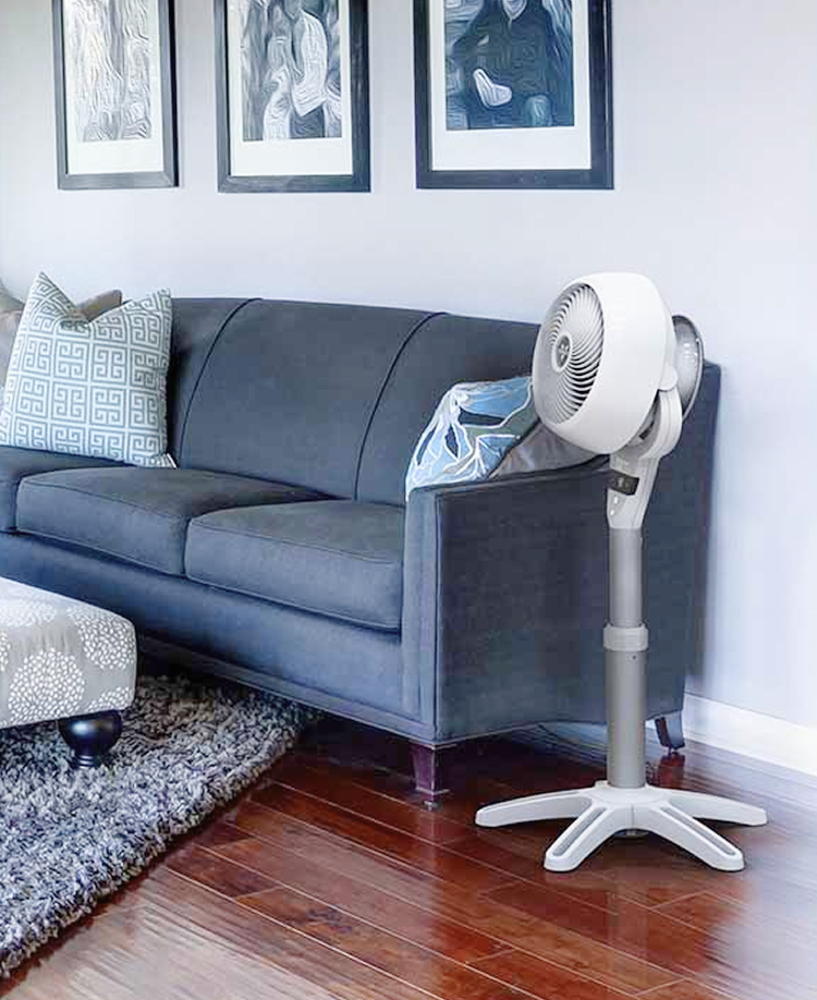 Vornado Pedestal Air Circulator Fan angled toward a grey sofa in modern lounge room with framed wall art and polished wooden flooring 