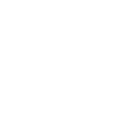 Nintendo Switch Shop Accessories