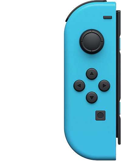 Nintendo Switch Joy-con