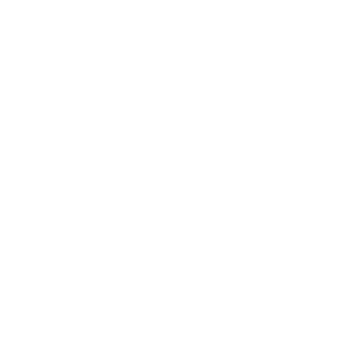 Nintendo Switch Shop Console