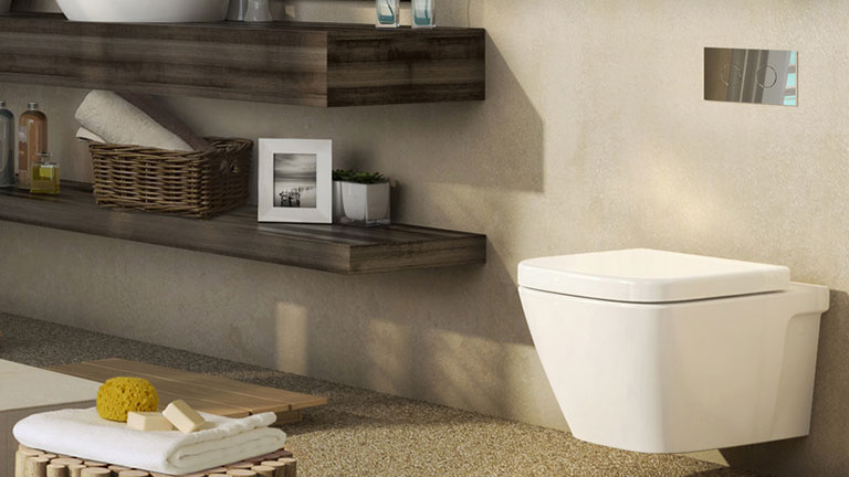Purchasing a Toilet