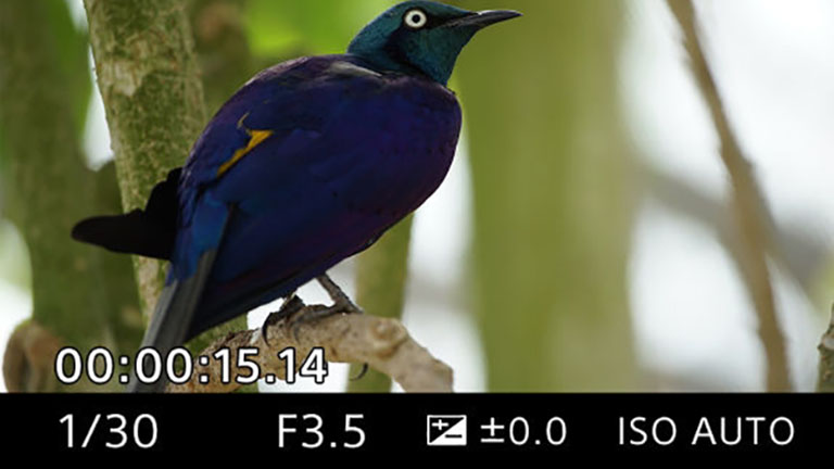 Aperture (f-stops)
