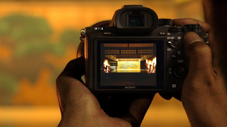 Mirrorless and DSLR Camera Buying Guide