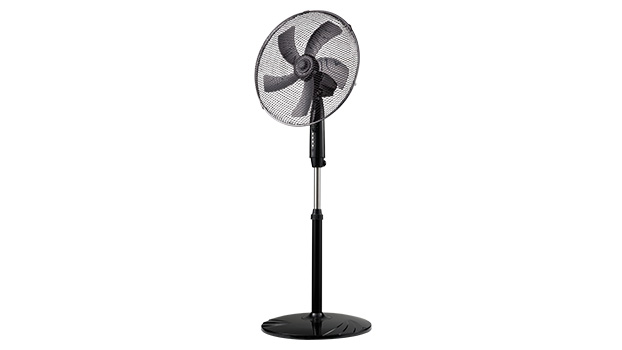 Fans