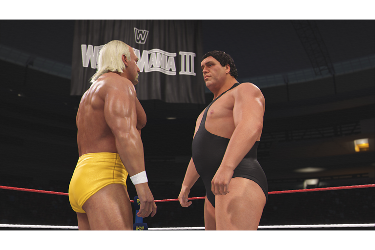  40 Years of WWE 