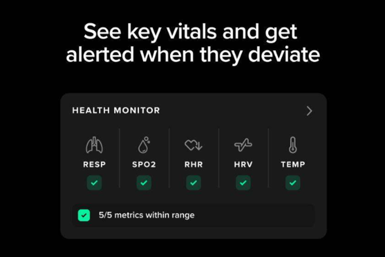  A Holistic View of Your Health 