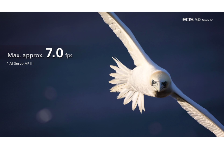 7 frames per second photography