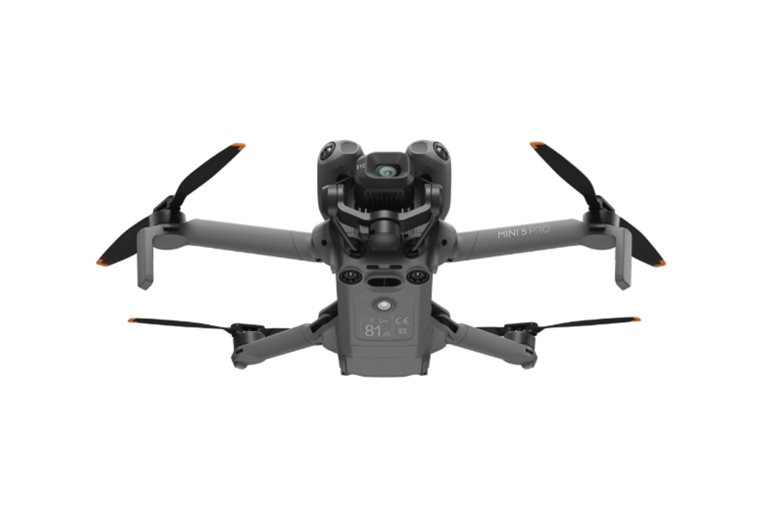  Dynamic and Intelligent Flight 