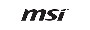 Lifespan Fitness Logo
