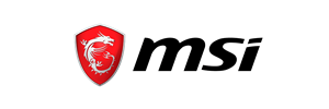 Lifespan Fitness Logo