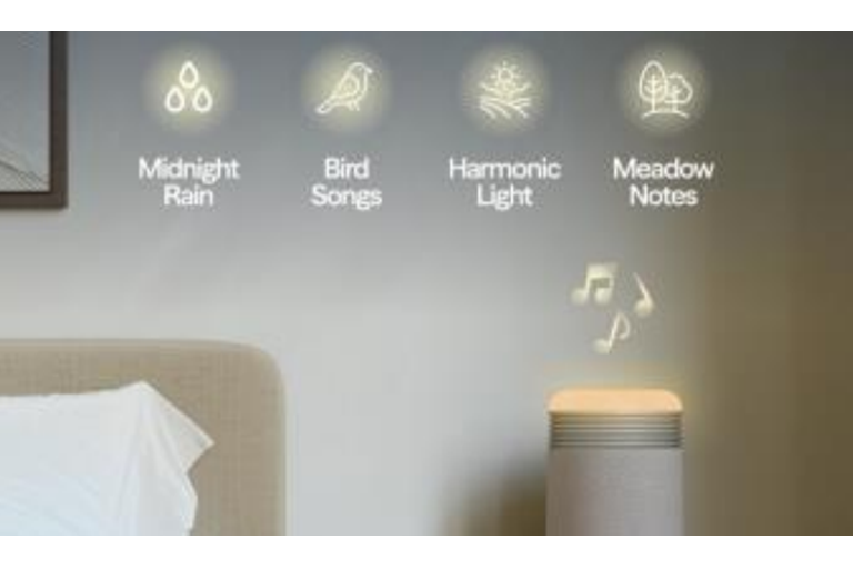  Sunrise Alarm with Natural Wake-Up Light 