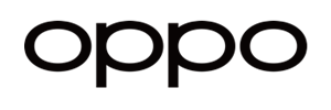 Lifespan Fitness Logo