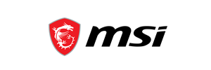 Lifespan Fitness Logo