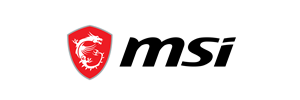 Lifespan Fitness Logo
