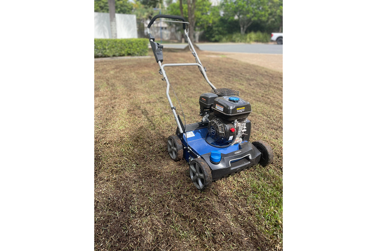  Revitalise Your Lawn 