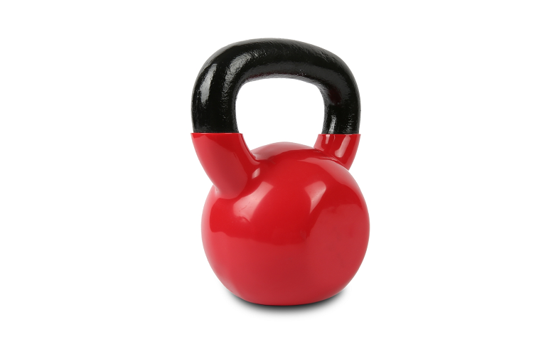  Your Fitness Companion 