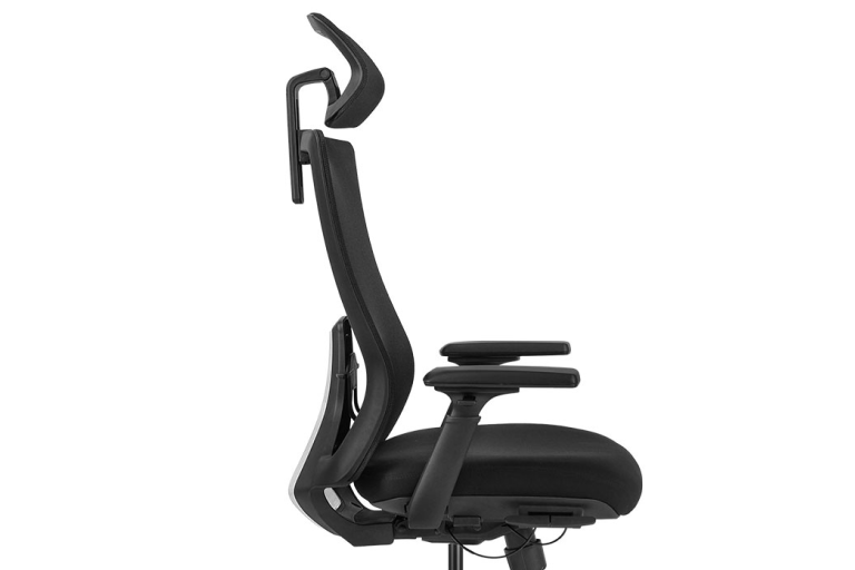 Advanced Ergonomic Support 