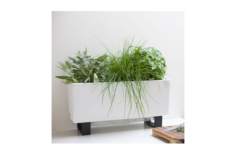  Ample Growing Space 