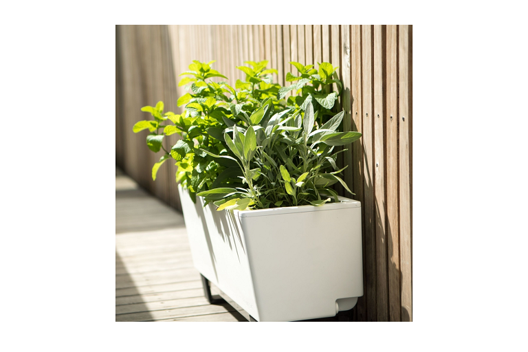 Self-watering System 