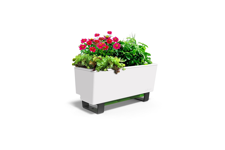 Durable and Eco Friendly 